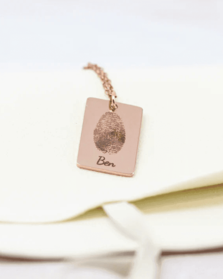 New Baby Collection - Rest of the Nest