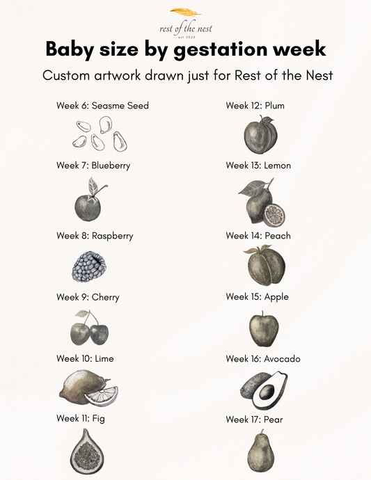 Rest of the Nest Baby size by gestation week, fruits.