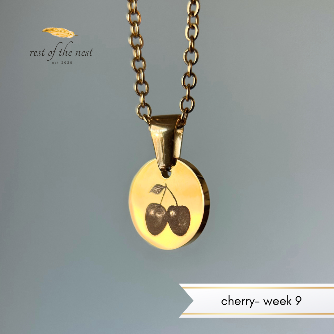 Rest of the Nest Gold necklace with a cherry pendant on a gray background.