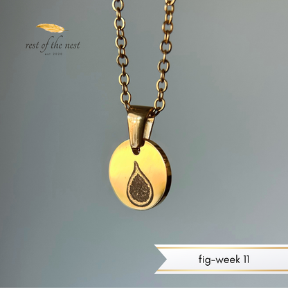 Rest of the Nest Gold necklace with a round pendant featuring a fig design on a gray background.