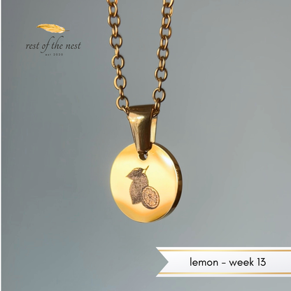 Rest of the Nest Gold necklace with a lemon engraved on a pendant on a gray background.