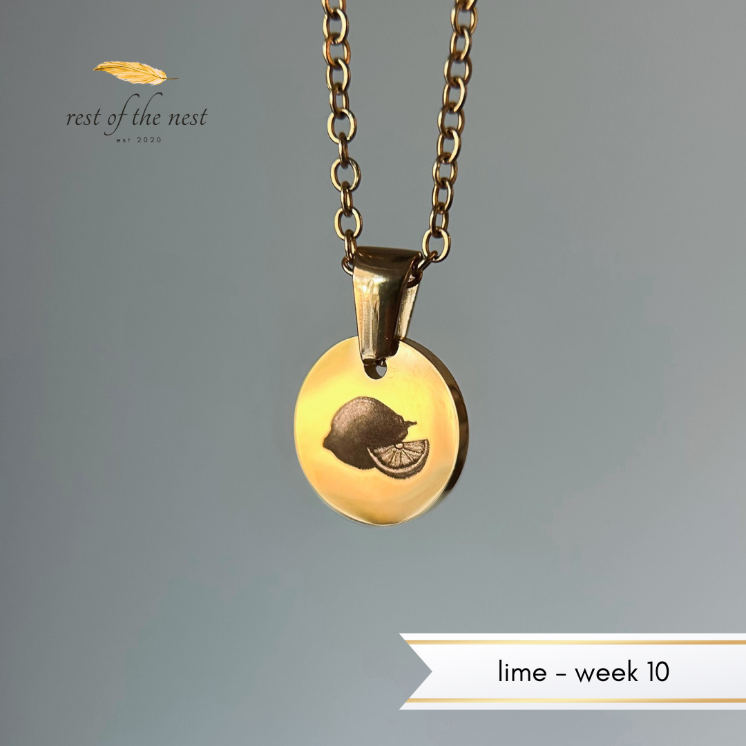 Rest of the Nest Necklace with a pendant featuring a lime design on a gray background, branded 'rest of the nest'.