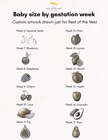 Rest of the Nest Baby size by gestation week, fruits. 