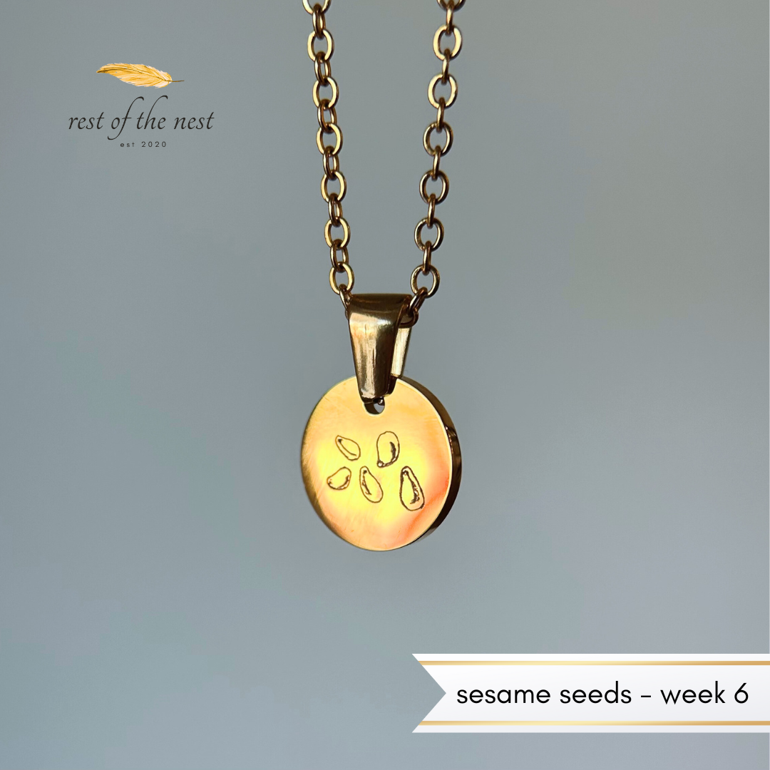 Rest of the Nest Gold necklace with a pendant featuring sesame seeds on a gray background