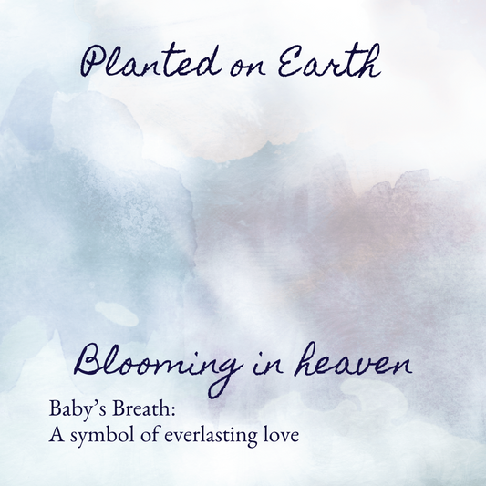 card reading "planted on earth blooming in heaven" and "babys breath: a symbol of everlasting love"