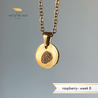 Baby Size Fruit Necklaces (Weeks 6–17) | Miscarriage Jewelry to Honor Every Week of Love